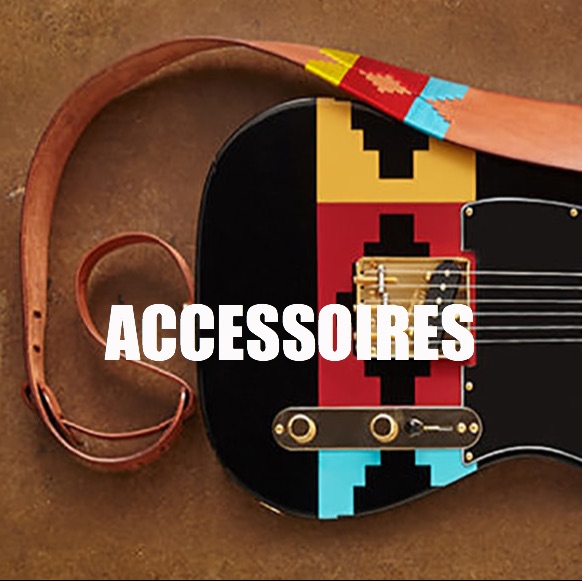 gitaarshop heemstede gitaar accessoires