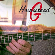 gitaarshop heemstede promotie homestead gitaren