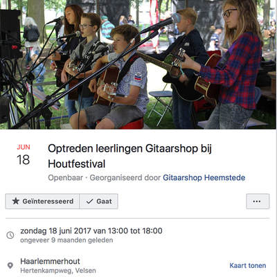 GITAARSHOP HEEMSTEDE Ted van Kampen & Houtfestival Haarlem